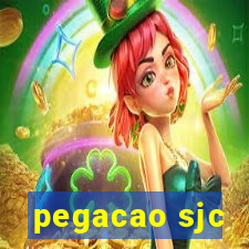 pegacao sjc